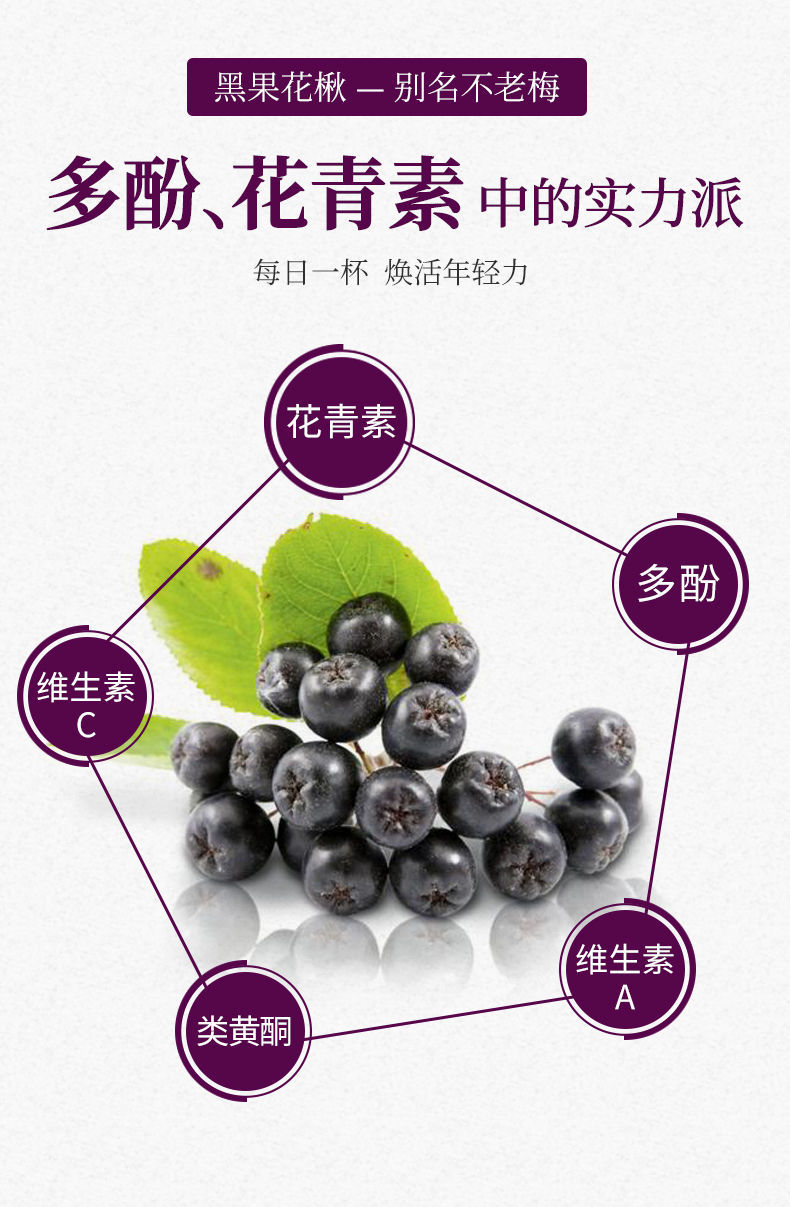 黑樱莓茶 108g 买2 1 长白工坊黑果花楸茶不老莓黑樱莓茶黑石楠果茶