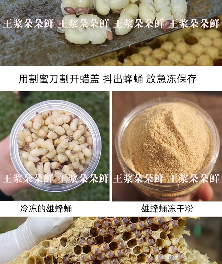 雄蜂蛹粉冻干粉片新鲜雄蜂蛹蜂王浆老滇凰蜂蛹片蜂农自产100g图片色