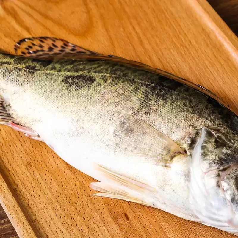 鲜活淡水桂鱼鳜鱼桂花鱼季花鱼500g新鲜活体速冻变质包赔宏嘉睿两条