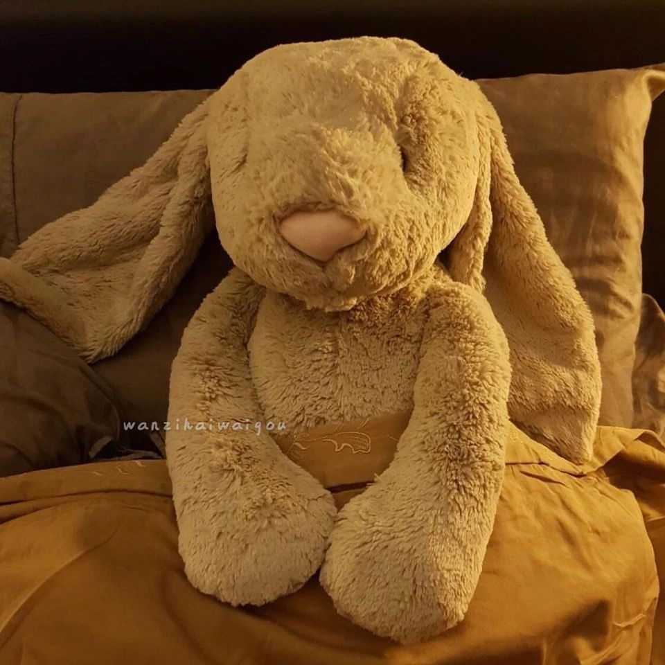 邦尼兔子ins风垂耳兔毛绒玩具可爱兔子安抚玩偶公仔送女生日礼物白色