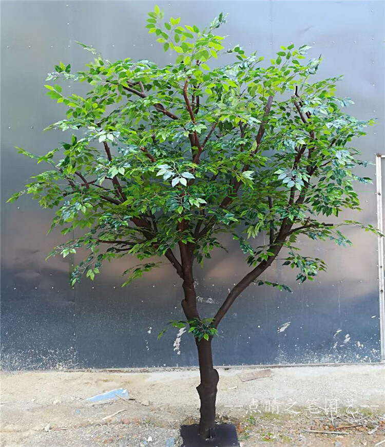 仿真榕树仿真大树假树大型绿色植物许愿幸福树白榕高2米宽15米