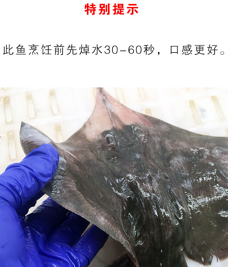 魔鬼魚新鮮海鮮深海老闆魚速凍孔鰩魚鰈魚1斤兩條