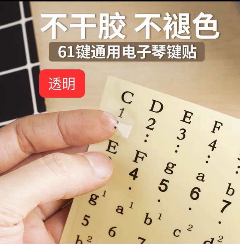 钢琴键盘贴纸61键电子琴手卷钢琴彩色88键简谱按键音标数字透明键