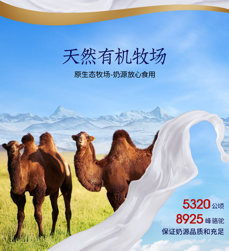 新疆驼初乳骆驼奶粉正宗初乳益生菌驼奶无蔗糖袋装奶茶粉成人学生初乳