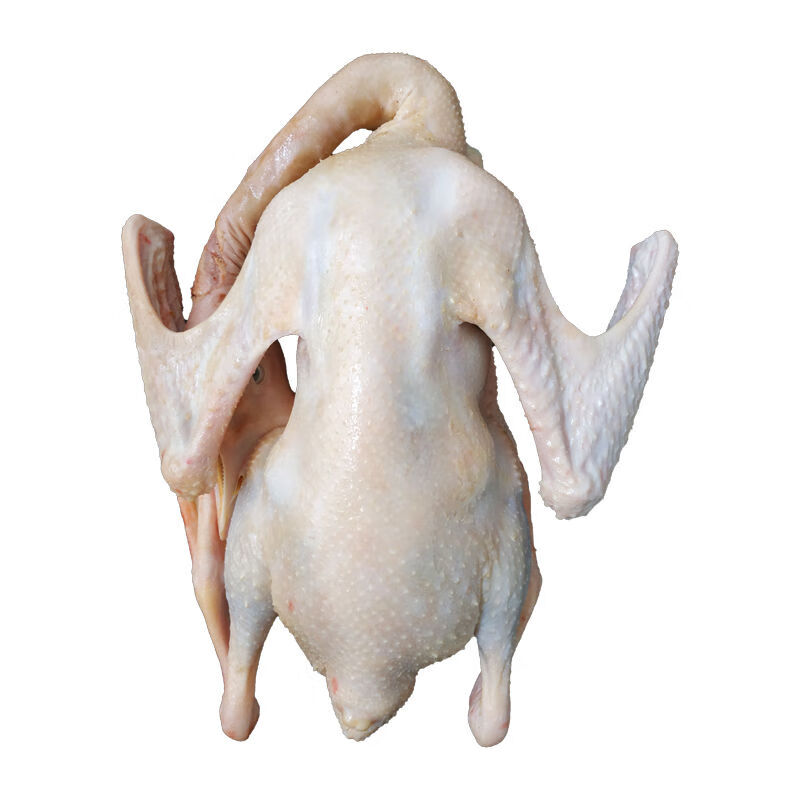 农家放养大白鹅东北土鹅整只鹅肉鹅心肝鹅掌炖大鹅食材新鲜禧客鲜山东