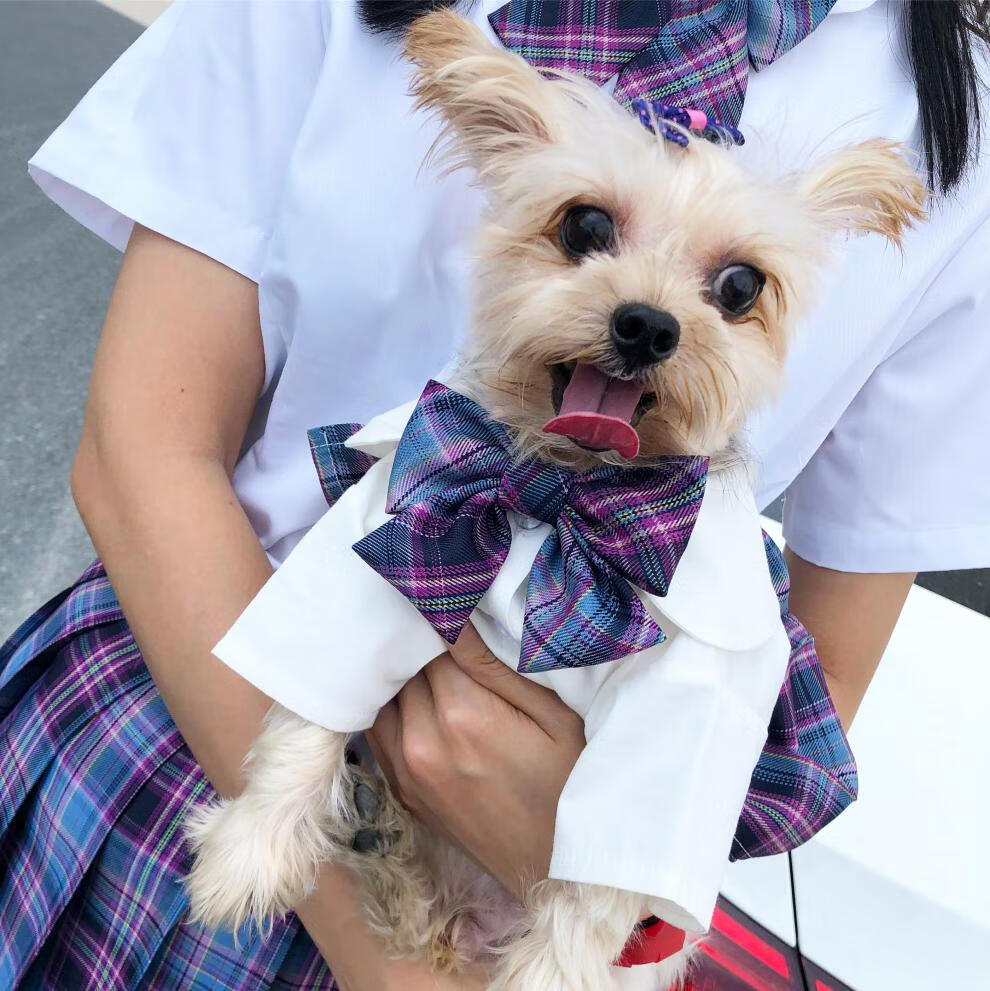 宠物jk制服狗狗猫咪衣服中小型犬法斗泰迪百褶裙水手服温柔一刀 花色4