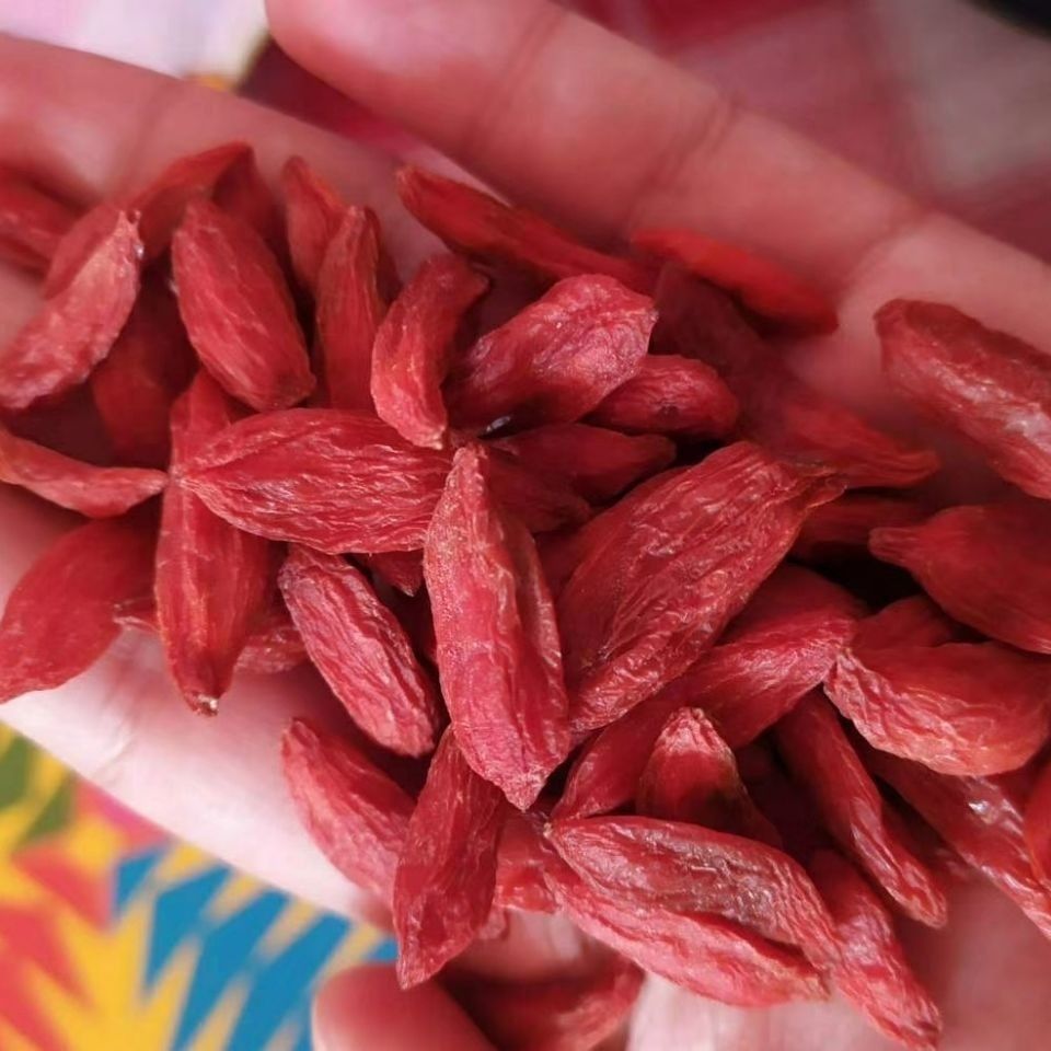 青海柴达木 红枸杞 500克*袋 大颗粒贡果 诺木洪红枸杞 500g【图片