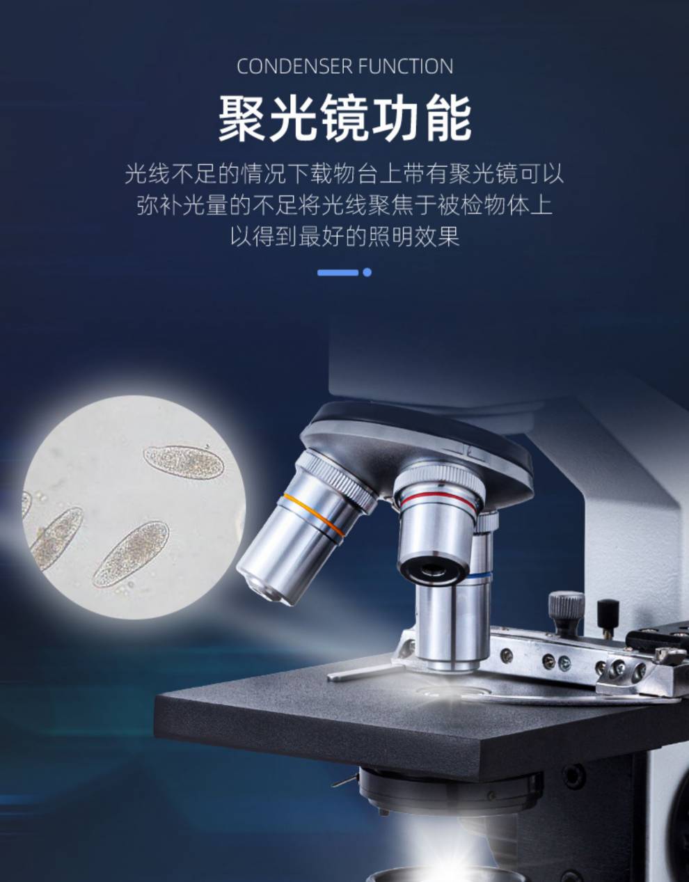 电子显微镜100000倍显微镜10000倍家用初中生物电子版光学看细菌数码