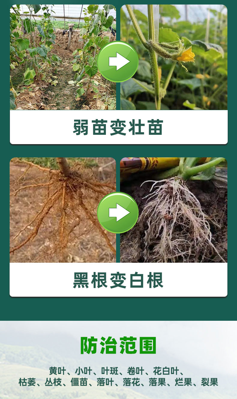 一喷绿植物生长平衡液果树专用微量元素氨基酸叶面肥花卉蔬菜通用1000