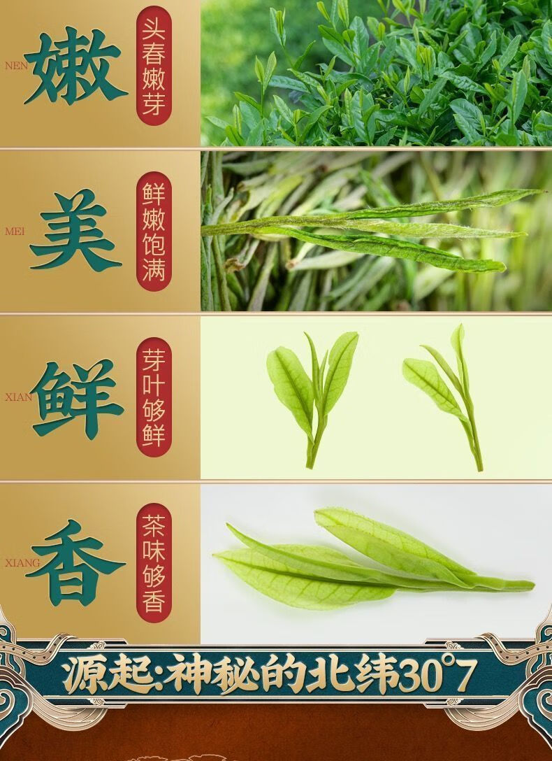 官方旗舰嫩芽安吉原产白茶新茶明前头采茶叶珍稀白茶罐装多规格七泡