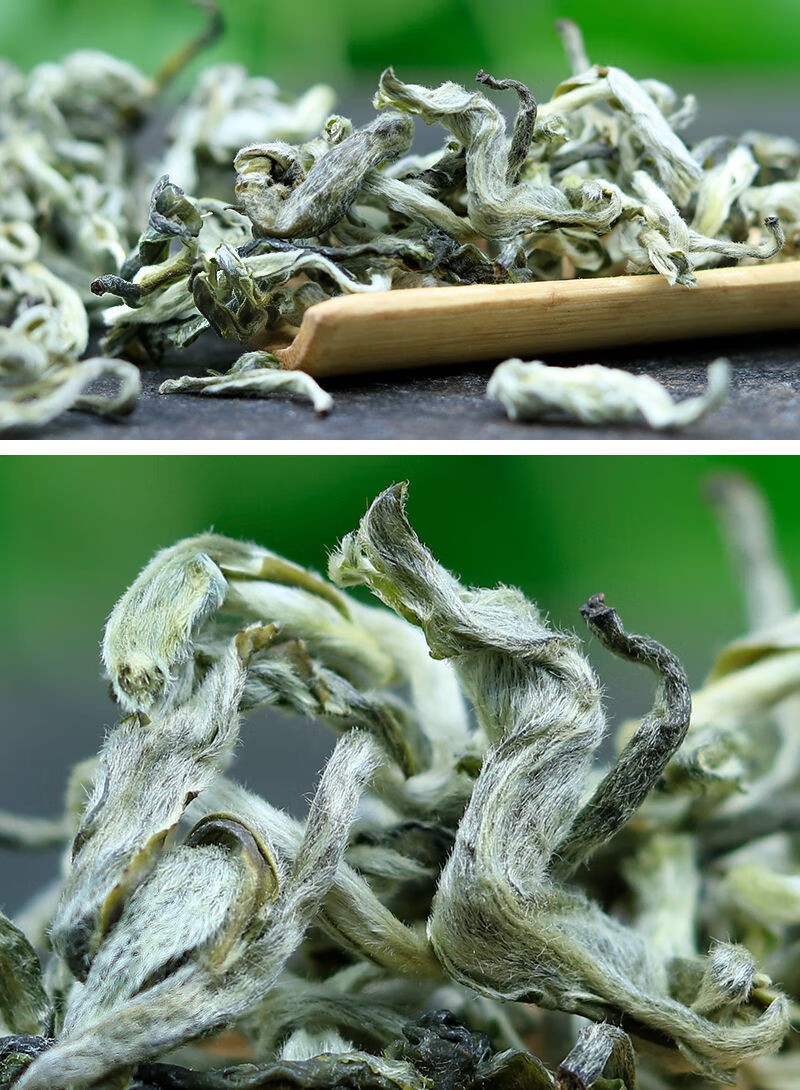 八八雪龙绿茶2022新茶叶特级云南绿茶春尖浓香型500g罐装礼盒装500g