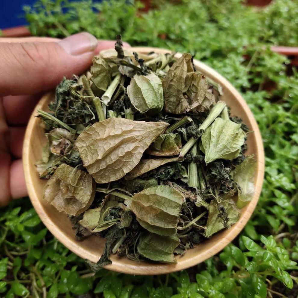 有仁堂中药材也生灯笼草 打卜草 打额泡 天泡草 黄灯笼 黄姑娘250克