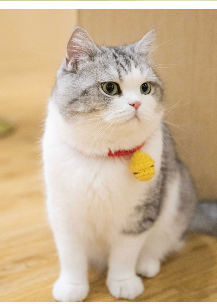 江湖有大头颈圈围脖同款猫咪铃铛可调节狗狗饰品手工针织宠物深蓝均码