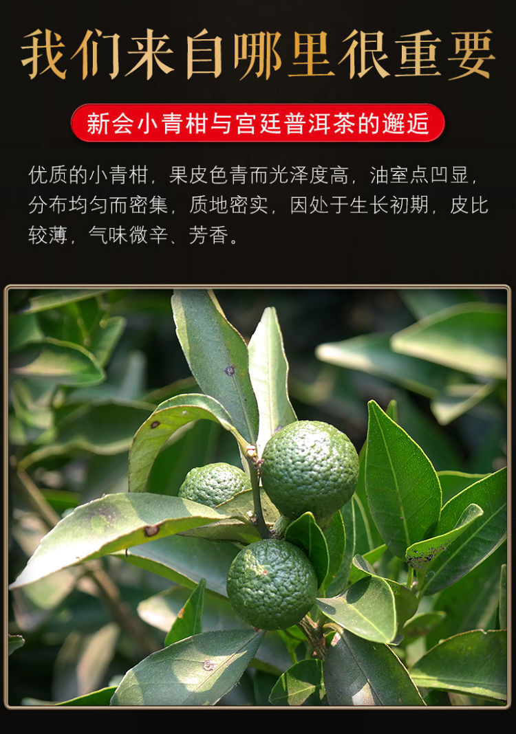橙伯乐 小青柑青皮正宗新会叶陈皮宫廷柑普茶橘子茶桔普茶袋装500g