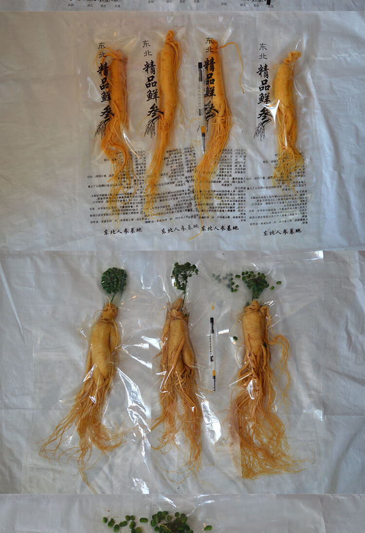 新鲜长白山人参东北煲汤五十年万良吉林特产高丽特大泡酒川谷食源20年
