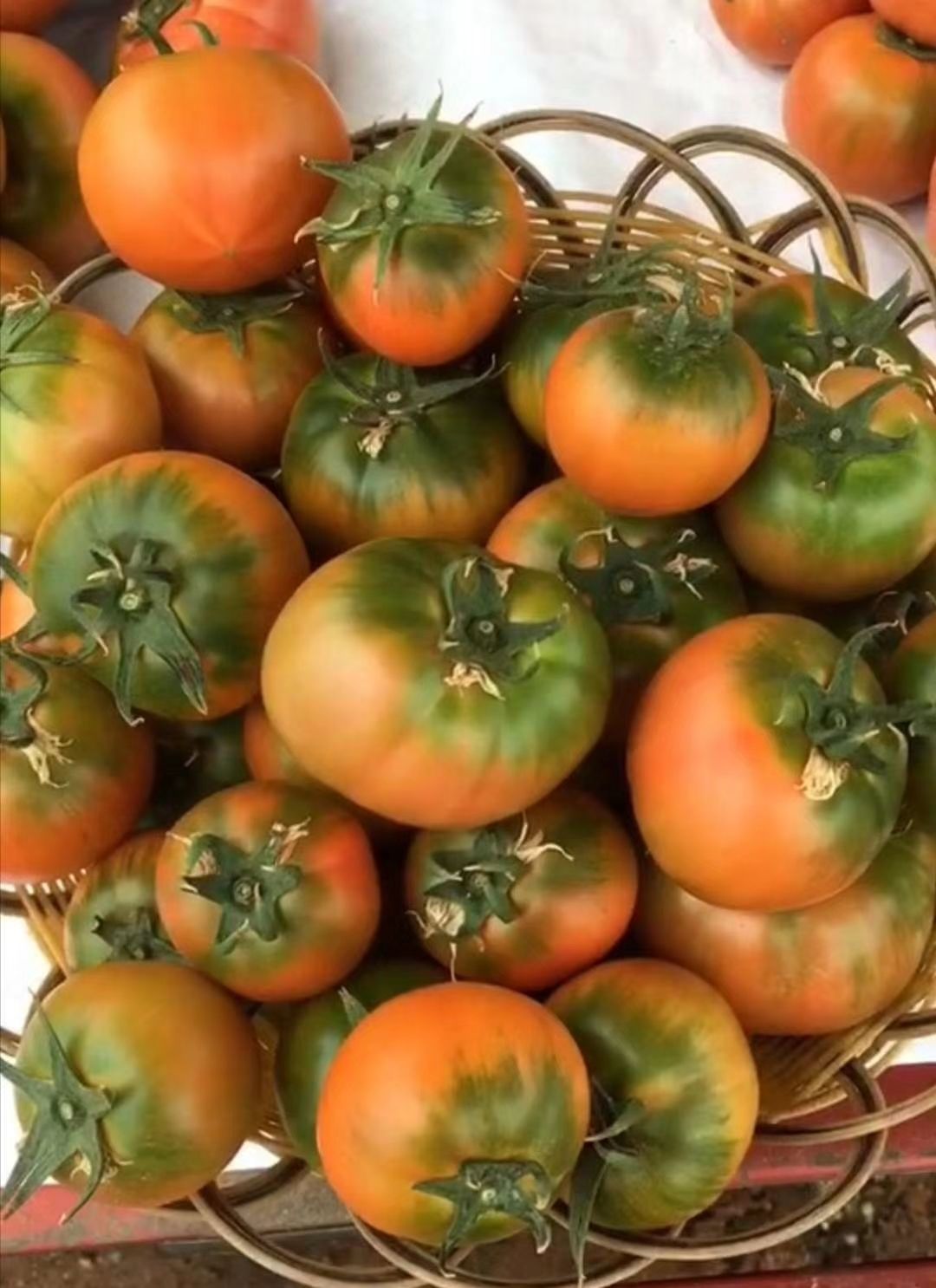 丹东铁皮柿子草莓西红柿新鲜水果东北皮球柿生吃番茄蔬菜 5斤特级果