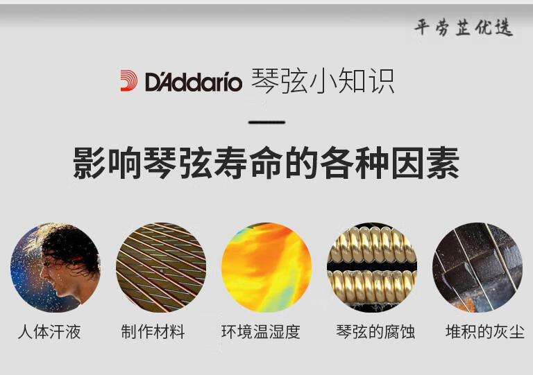 81dd7394df6fdcd6.jpg