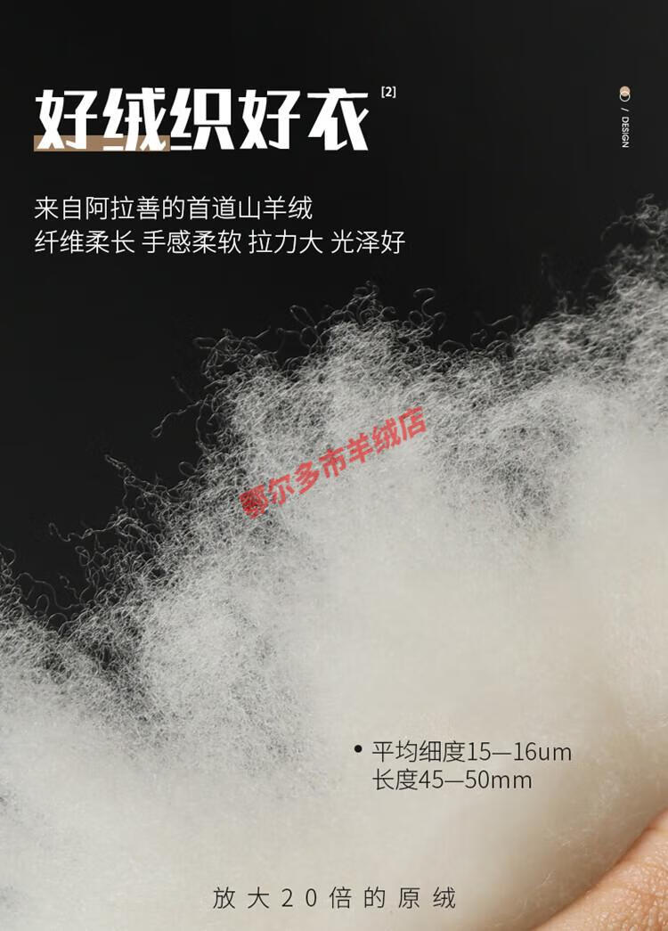 03ad51a38b938350.jpg
