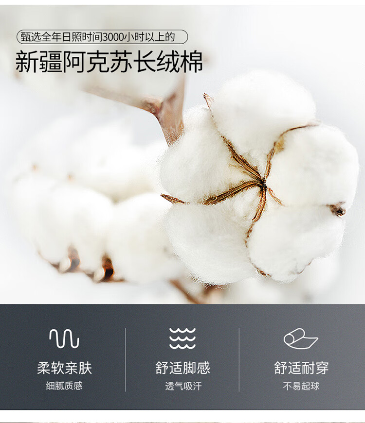 c15b7f2ffd78654a.jpg