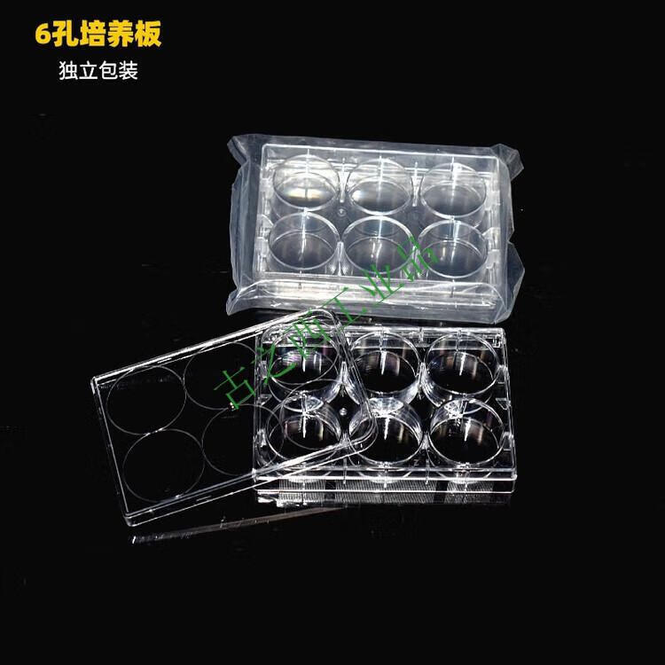 435d69b62304ffeb.jpg