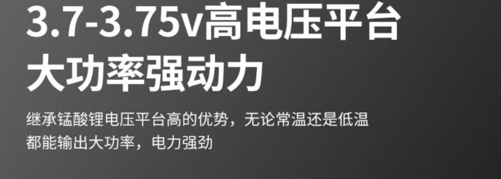 21，VEIGAR星恒鋰電池48v24ah新國標雅迪DE2愛瑪綠源台鈴電動車專用錳酸鋰 48v24ah星恒鋰電池 兩竪一橫插頭