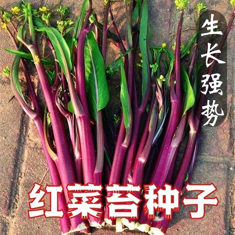 a22e4c2576c45134.jpg