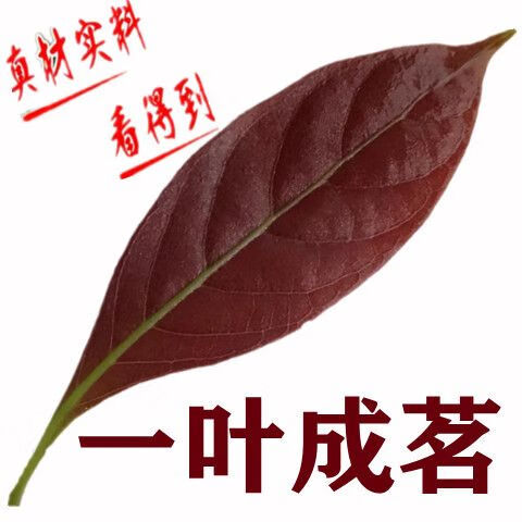 ef7fcc5dbca54ad2.jpg