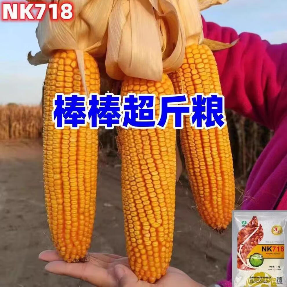 64499e36a62926d7.jpg