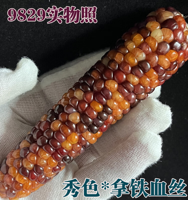 5987a76bb5054e01.jpg