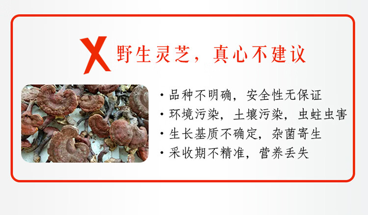 d18630c9542ae1b3.jpg
