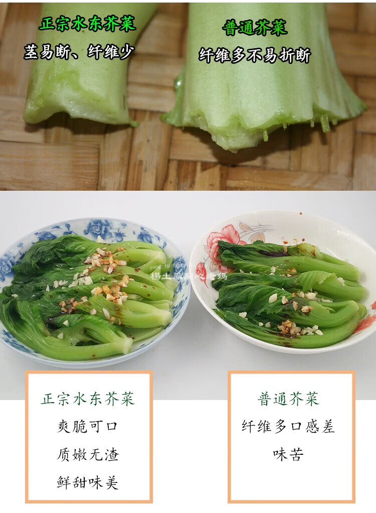 445adf511d13a016.jpg