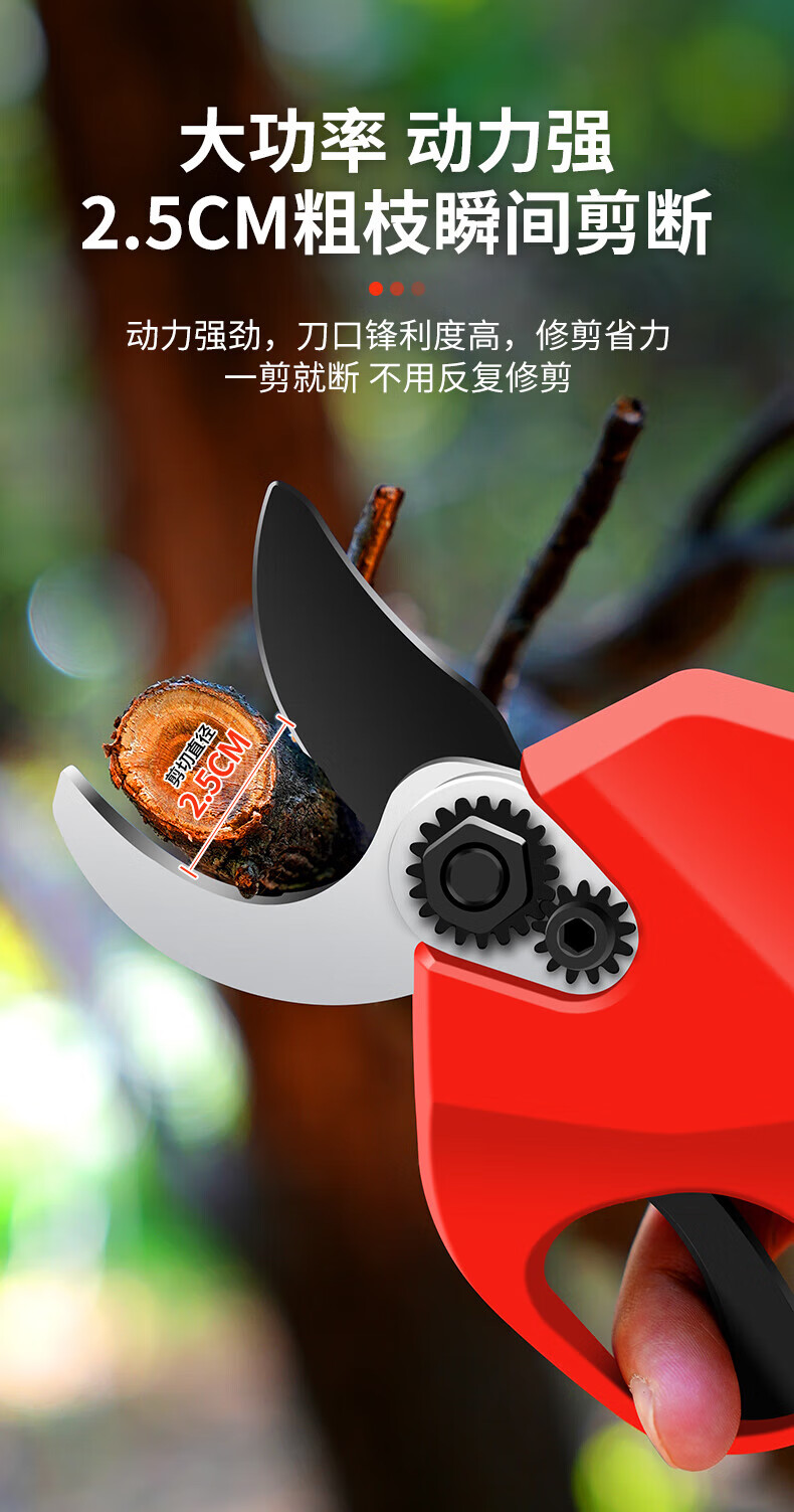 40dbd8ca7e64696e.jpg