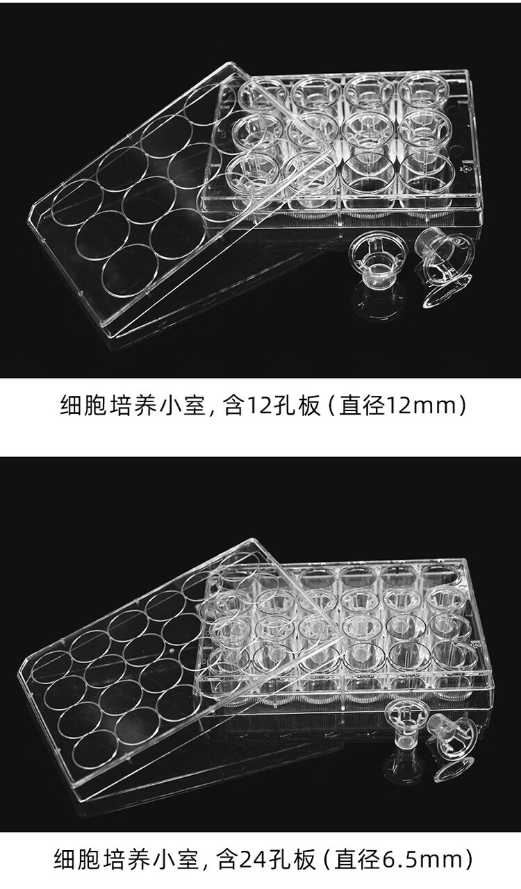 cbc37bb897f37230.jpg
