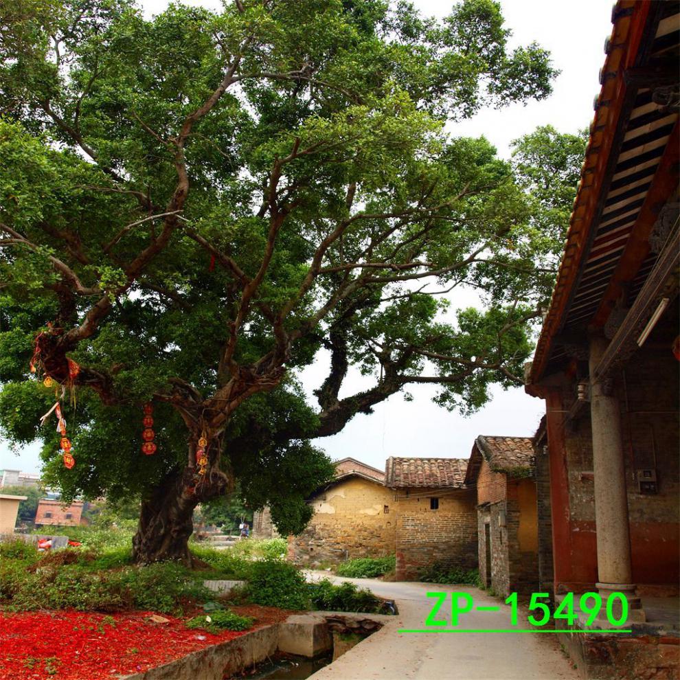 4fae105f-8872-4642-b799-0de158d6106d.jpe
