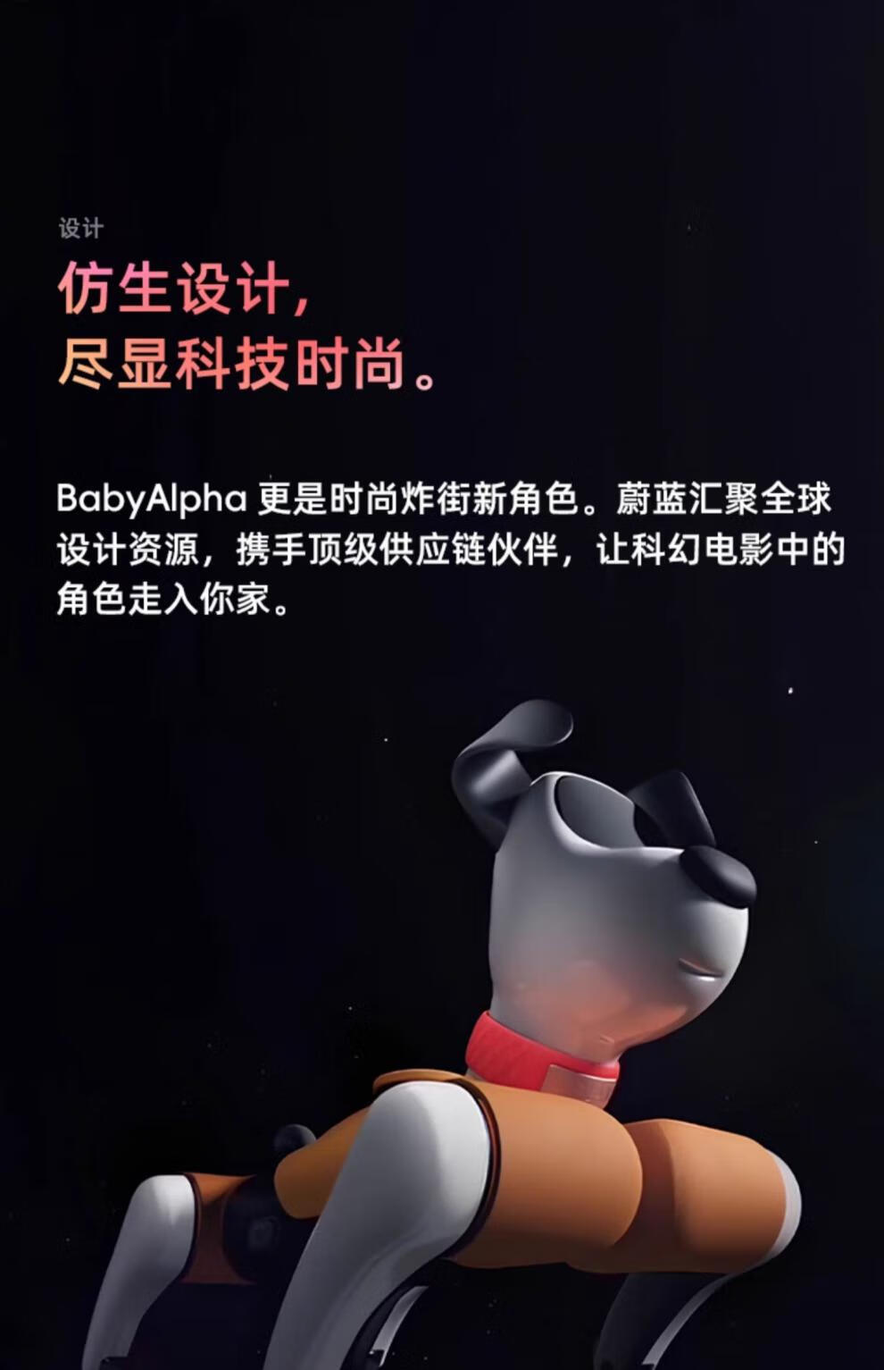 f8be6a5ca8329306.jpg