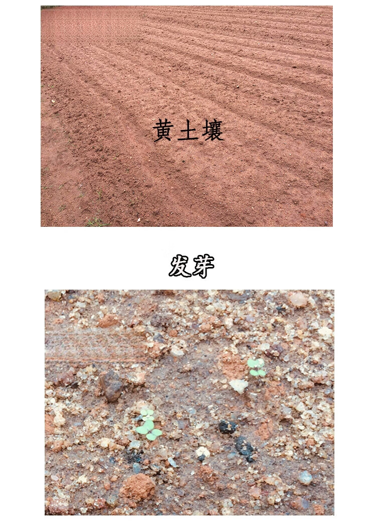 dbde7cd316b32a5c.jpg