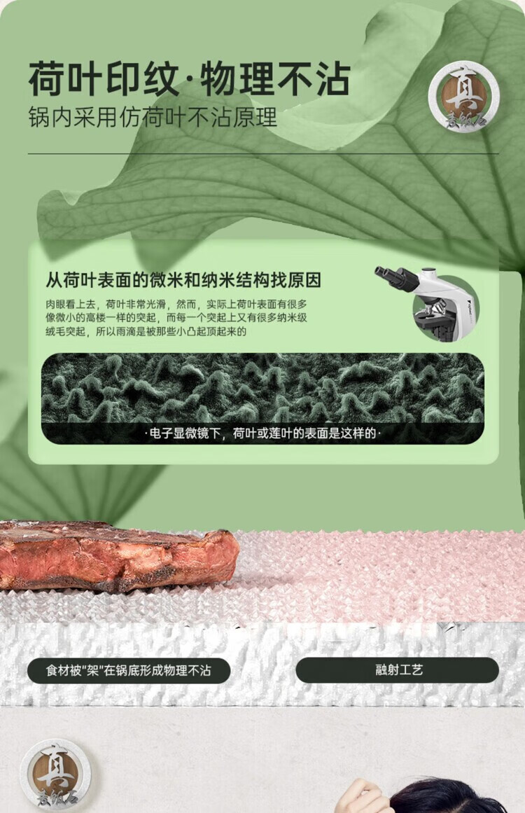 0087f78c802a181e.jpg