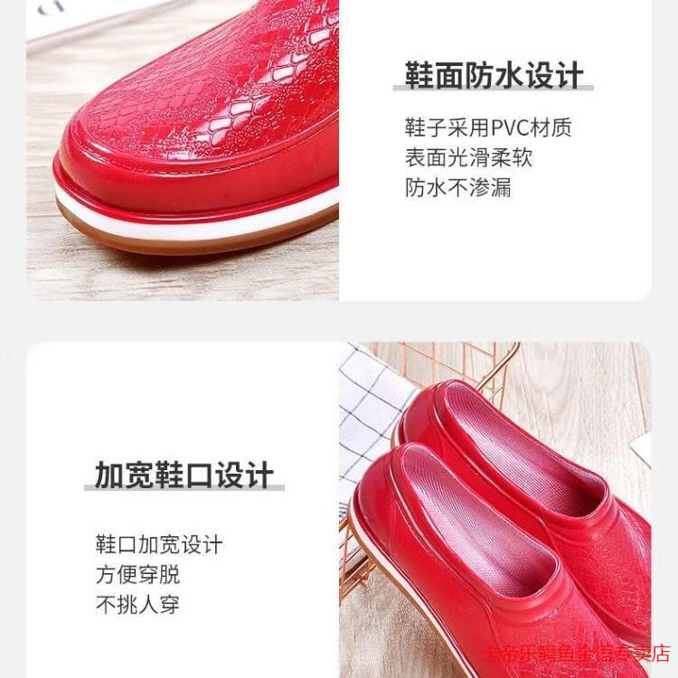8ceee27ae978a94e.jpg