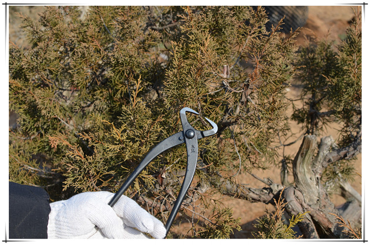逍遥破杆钳开枝剪盆景造型工具破杆拿弯景制作养护工具朱记210破杆钳