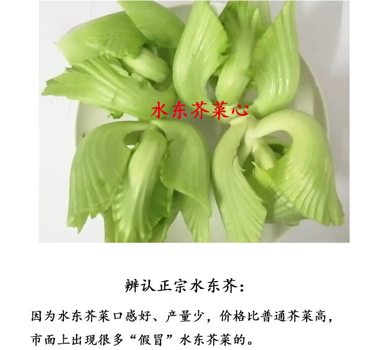 a3329723ab1ad112.jpg