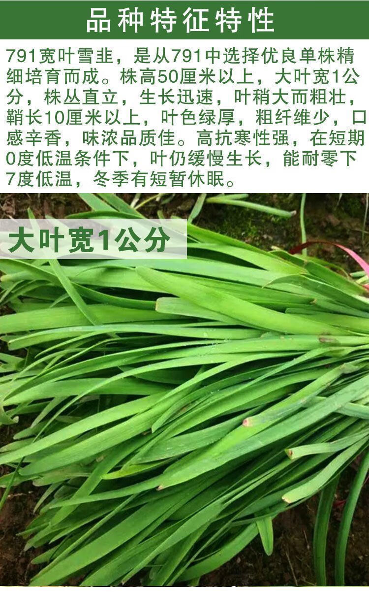 d25798c5c0d8dbc6.jpg