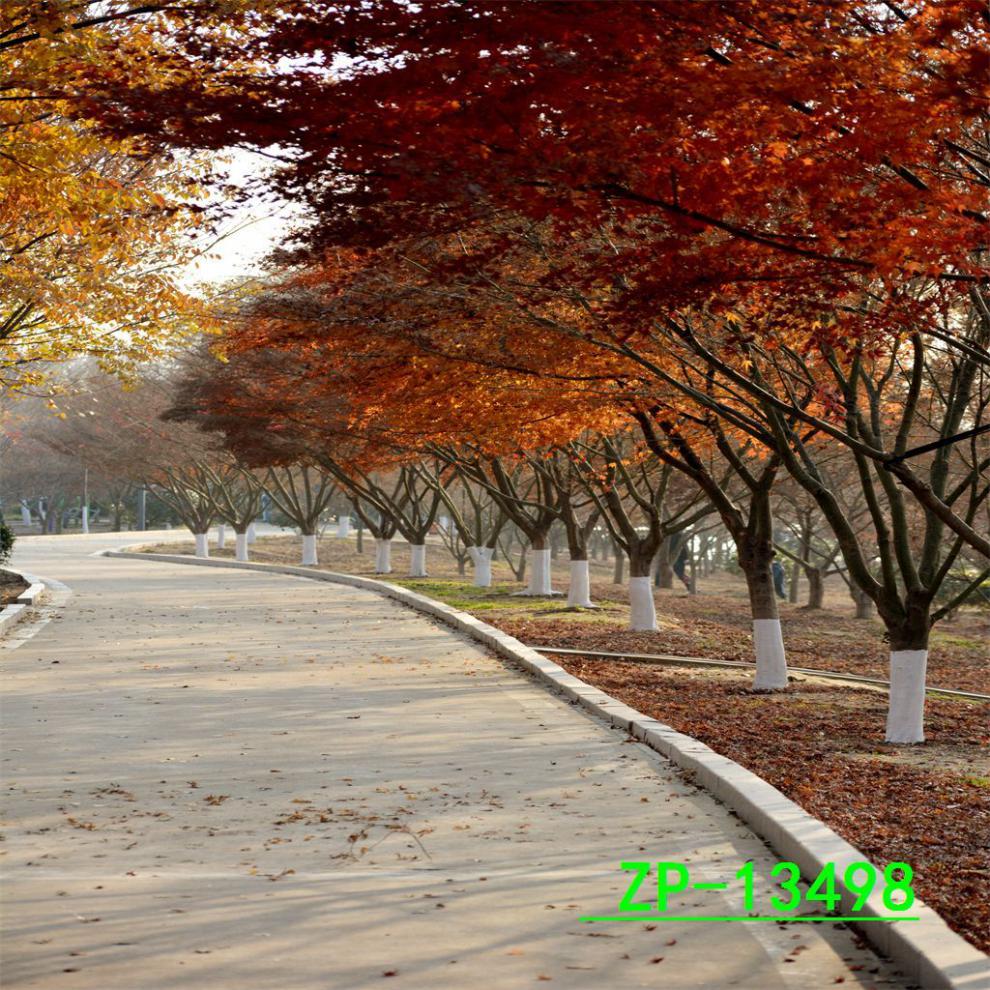 9089a5a1-e645-4895-aa65-3d3f35e6212f.jpe