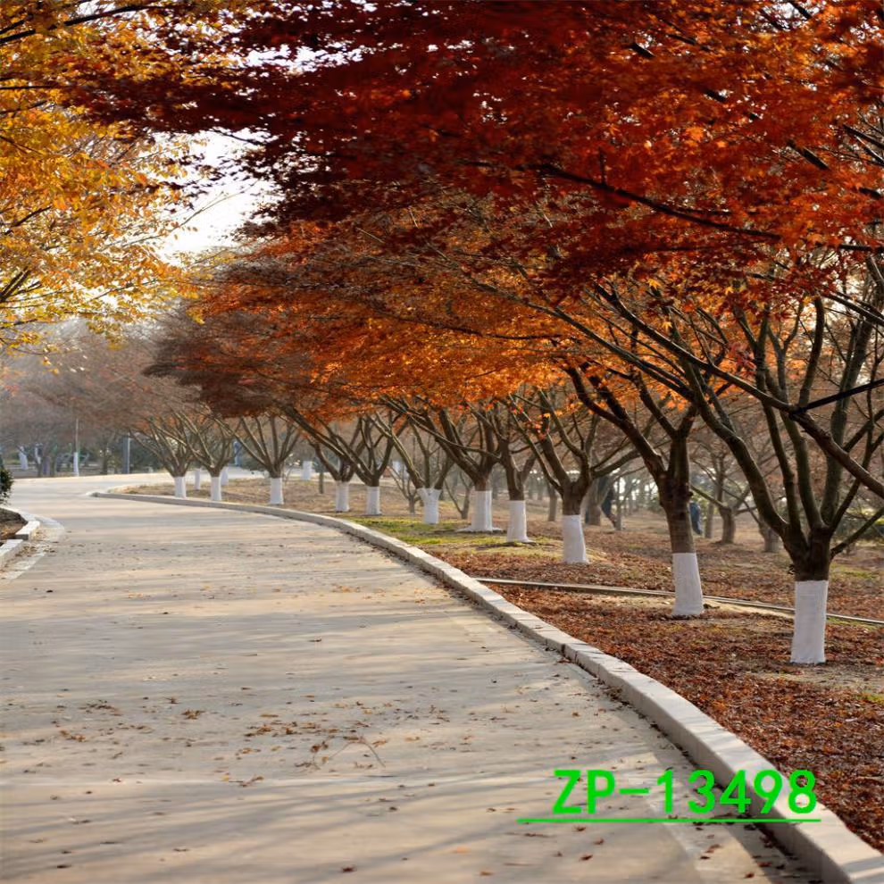 2a9ceb90bfe4ba41.jpg.avif
