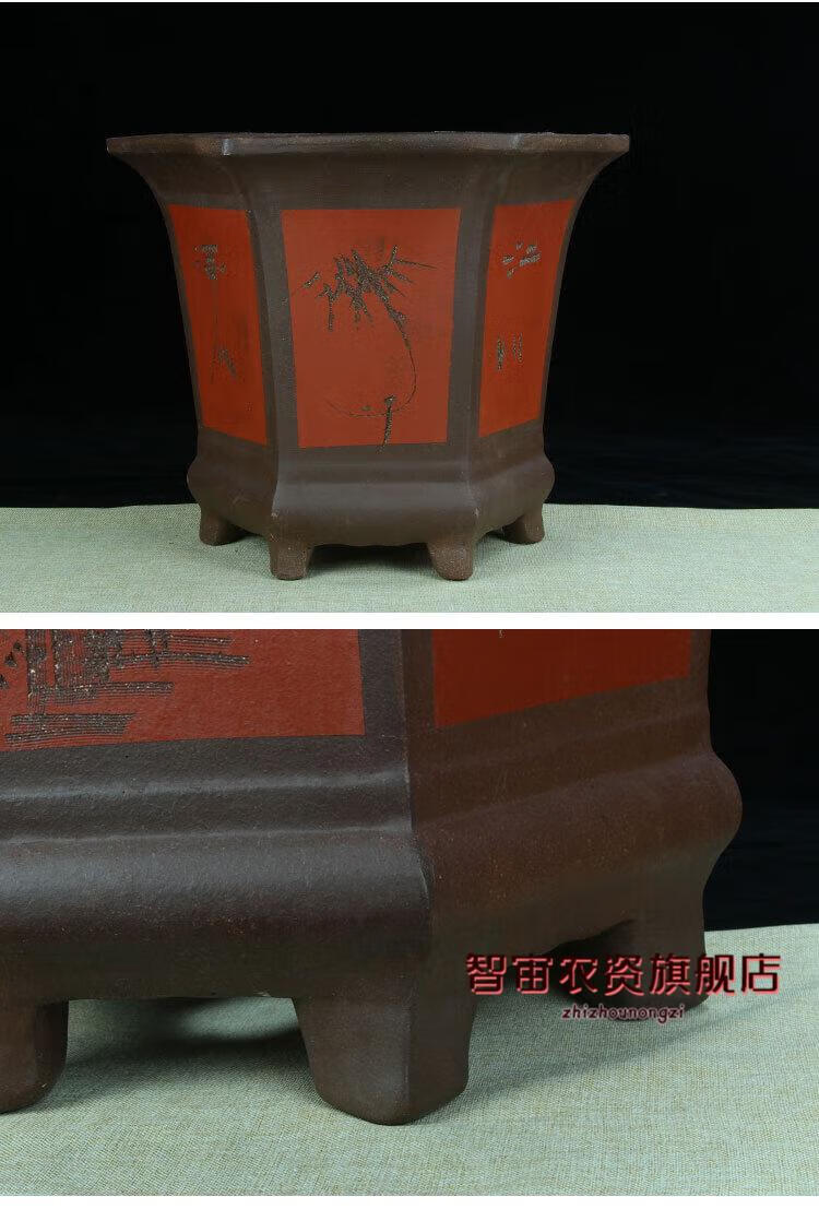 a0ea8a897f64c878.jpg