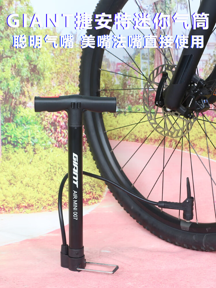 dbb2c4db2d981b63.jpg