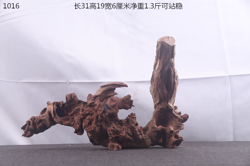 f2ade278096559e5.jpg
