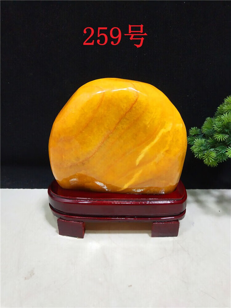 165917cb3de47a19.jpg