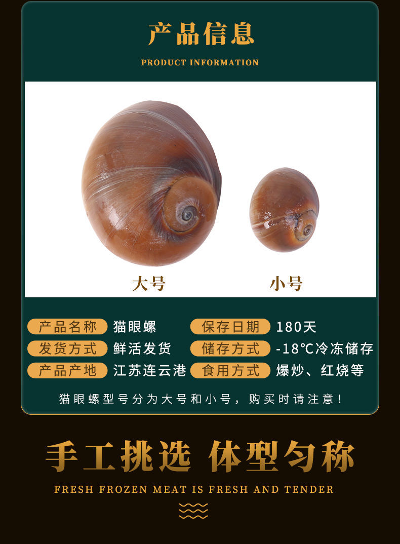 鲜活猫眼螺海鲜水产螺类鲜活小香螺沙螺大香螺翡翠螺