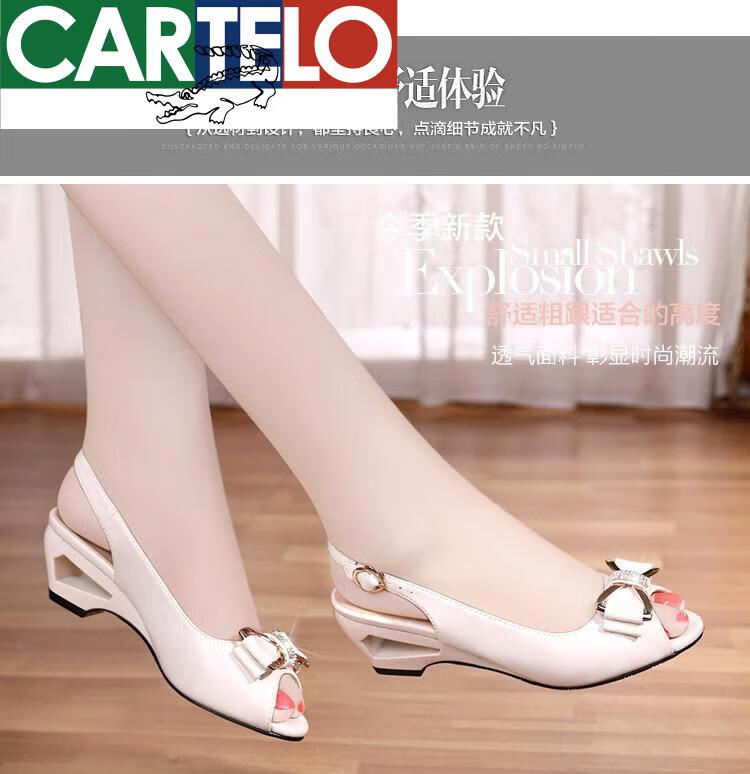 a39604cc4b03be45.jpg