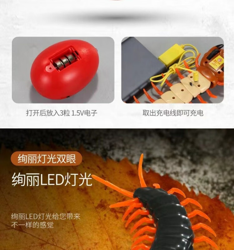 5490f7bca29ab607.jpg